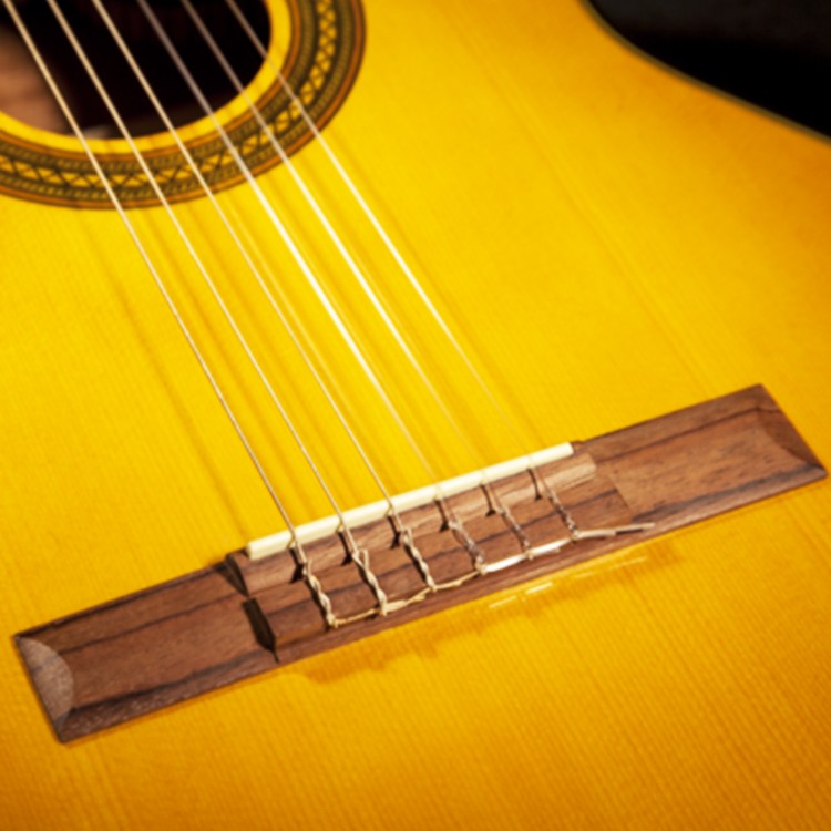 Chitarra Classica TAKAMINE - GC5CE - NAT