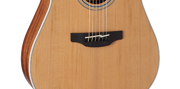 CHITARRA ACUSTICA - elettificata Takamine GD20CE