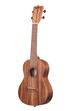 UKULELE KALA CONCERTO TEAK-C