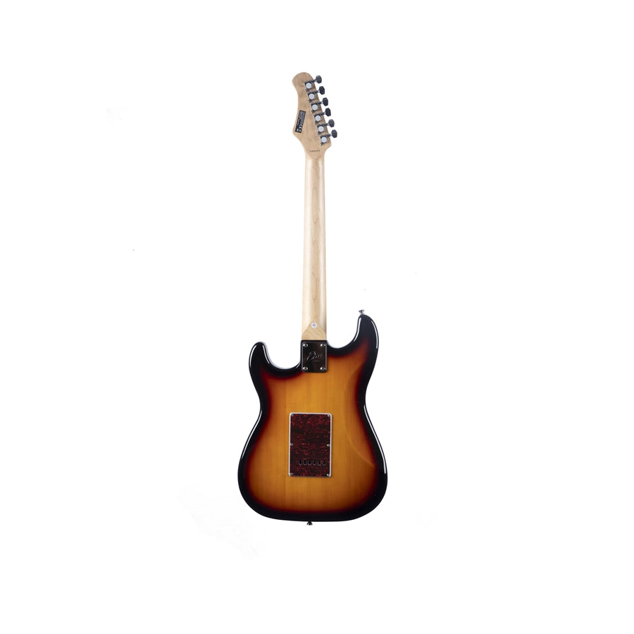 Chitarra Elettrica Professionale ZQA Custom, 6 Corde, Corpo In Mogano, Manico In Acero, Finitura Lusso