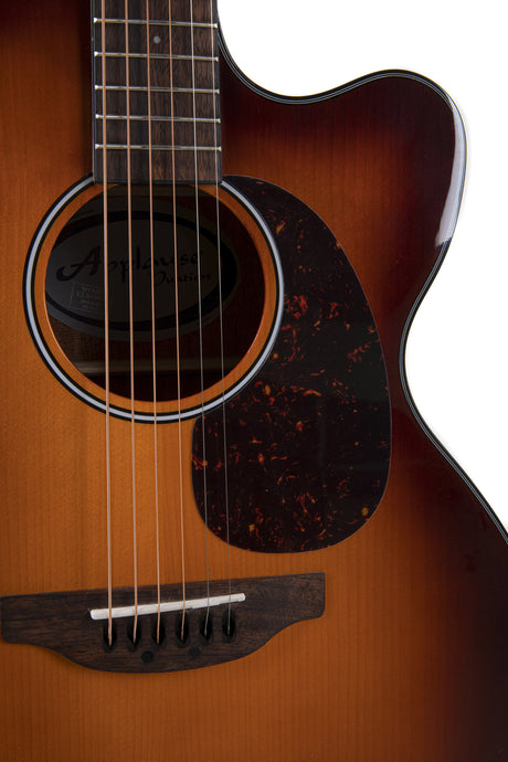 Applause Chitarre elettroacustiche Wood Classics AEJ96-1 Jumbo Cut Electro