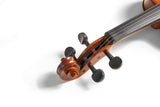 GEWA Pure Set Violino HW 4/4 Set-up Tedesco PS401611