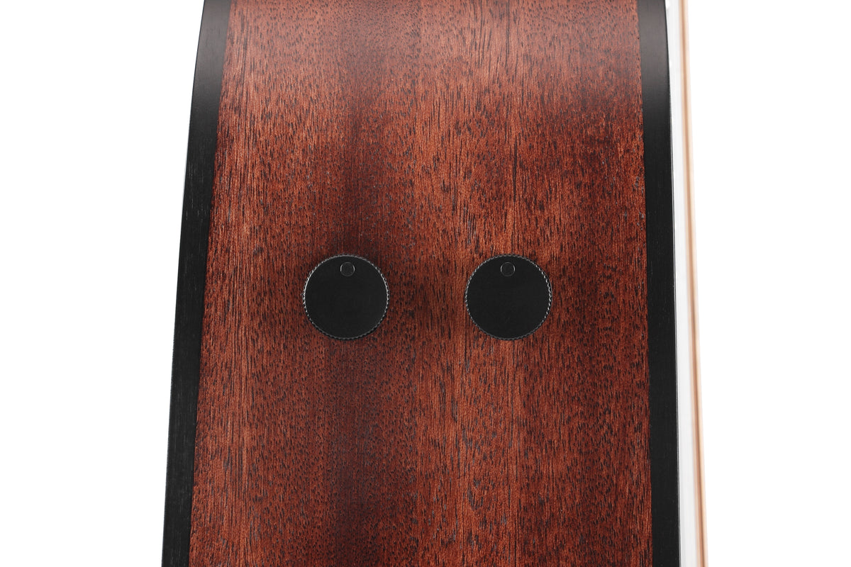 Chitarra acustica Ibanez AAD190CEWKH
