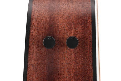 Chitarra acustica Ibanez AAD190CEWKH