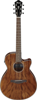 Chitarra acustica elettrificata Ibanez AEG61NMH