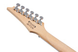 Ibanez GRG170DXSV