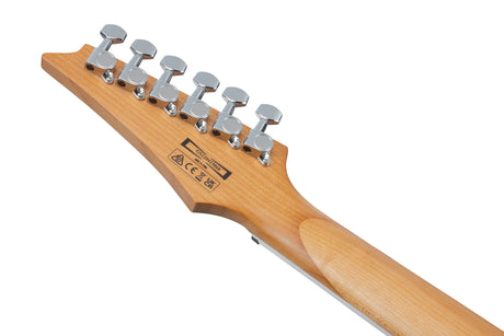 Chitarra elettrica Ibanez GRG220PA1BKB