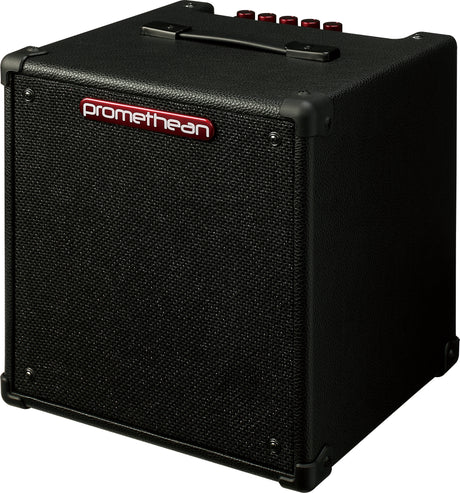 Amplificatore per Basso - Ibanez P20U
