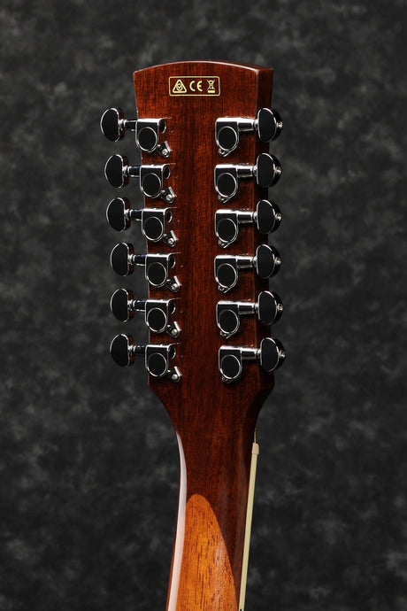 CHITARRA ACUSTICA -IBANEZ -  ELETTRIFICATA PF1512 ECE 12 corde