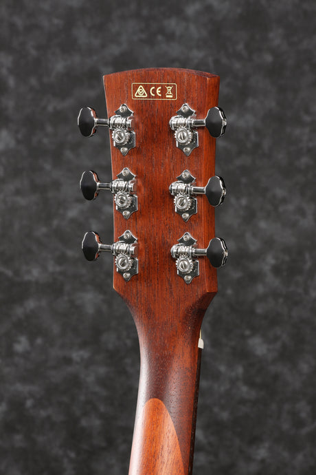 Chitarra acustica elettrificata Ibanez PN12MHEOPN