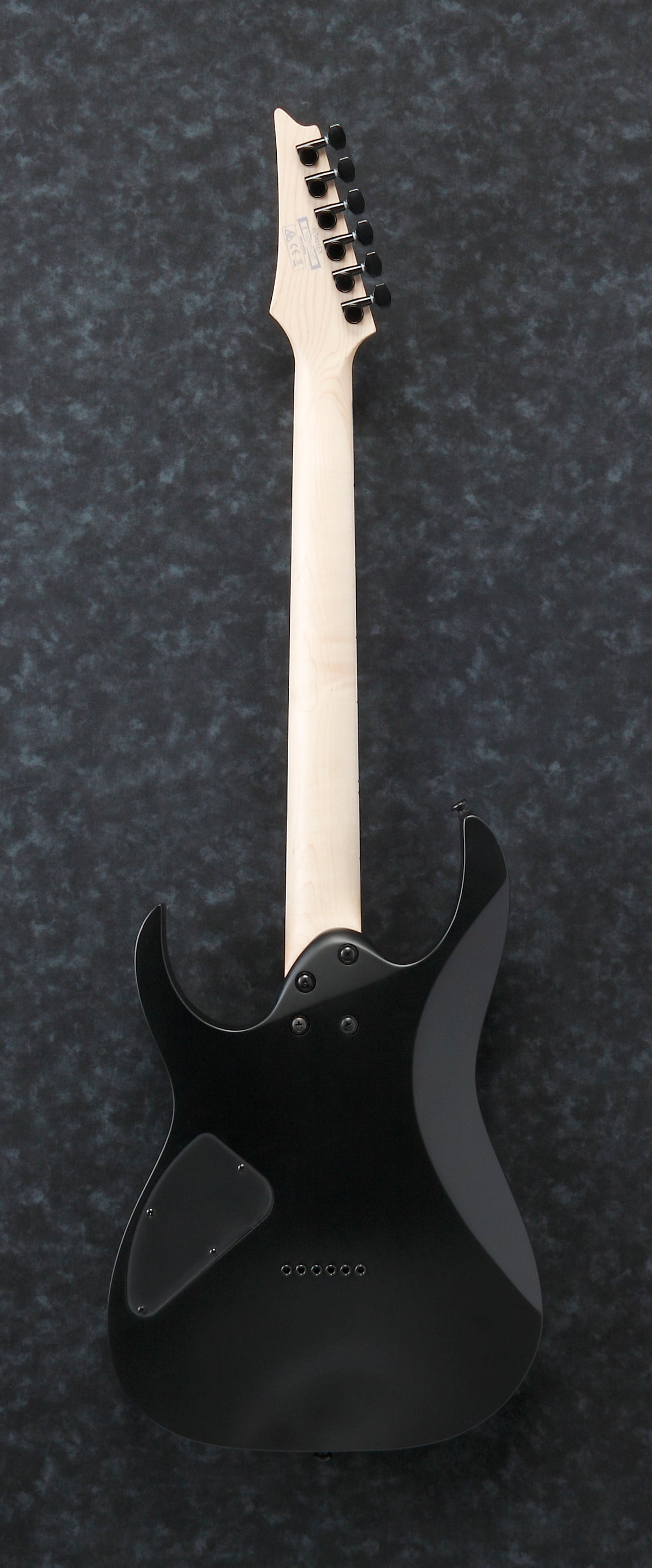 IBANEZ RG421EX BKF Black Flat