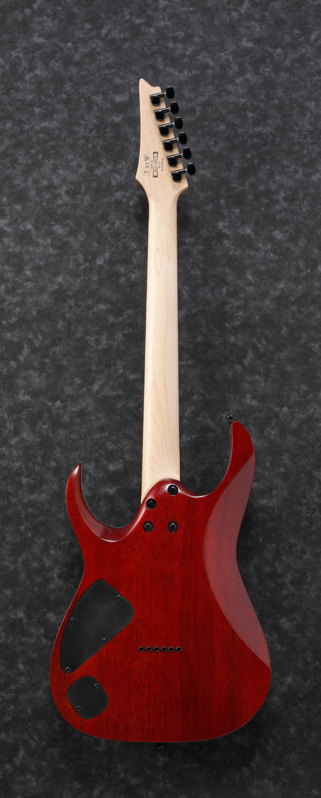 Ibanez RGA42FM TGF Transparent Gray Flat