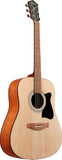 Chitarra Acustica Ibanez V50NJPOPN - Kit con accessori