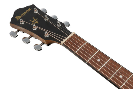 Chitarra acustica IBANEZ VC40WSCE-OPB Open Pore Brown