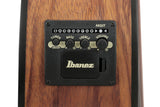 Chitarra acustica IBANEZ VC40WSCE-OPB Open Pore Brown