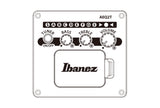 Chitarra acustica IBANEZ VC40WSCE-OPB Open Pore Brown