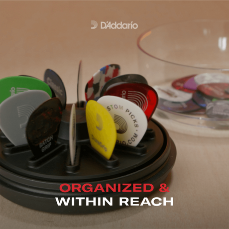 D'addario PW-PH360-01  Reggi plettri 360