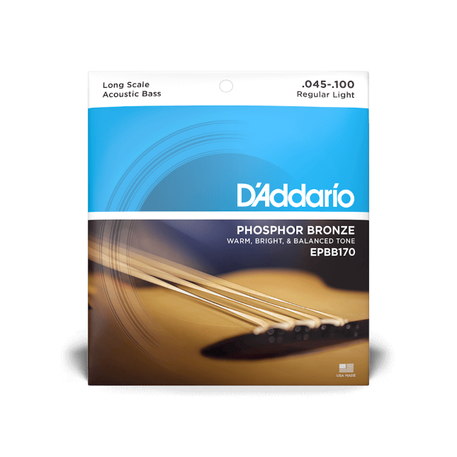 D'addario EPBB170 Phosphor Bronze Acoustic Bass, Long Scale, 45-100