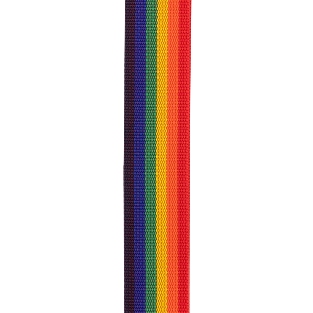 D'addario Tracolla Polypro per chitarra con sistema Auto Lock, Rainbow PWSAL411