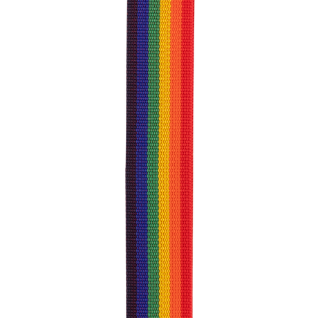 D'addario Tracolla Polypro per chitarra con sistema Auto Lock, Rainbow PWSAL411