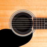 D'addario Tappo Anti Feedback per chitarra acustica SCREECHING HALT SOUNDHOLE PLUG