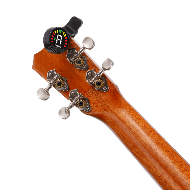 D'addario PW-CT-26