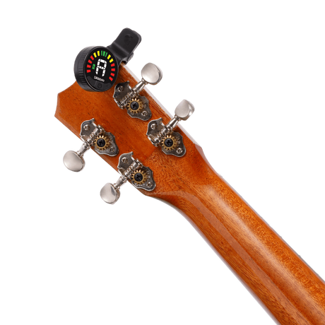 D'addario PW-CT-26