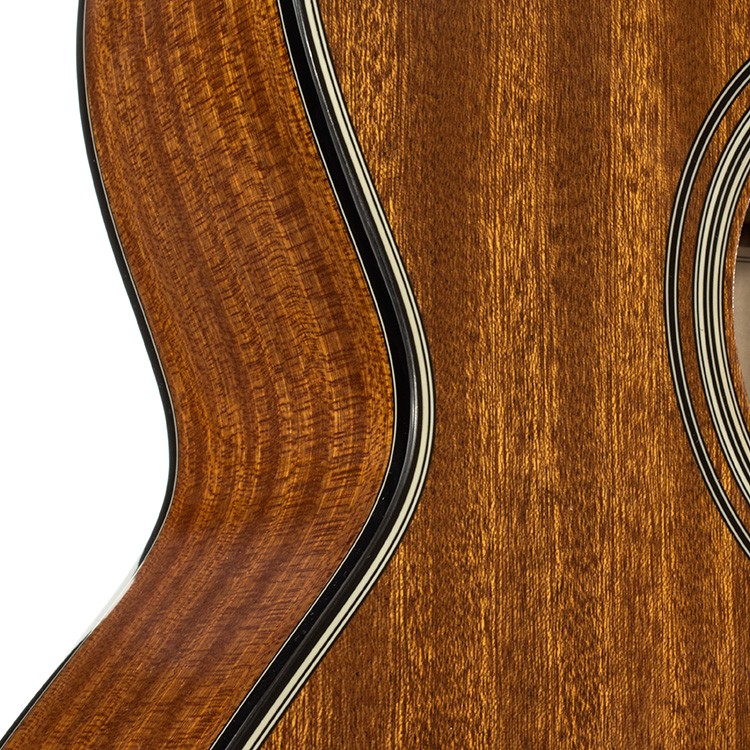 TAKAMINE GSN11MCE NG
