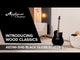 Applause Chitarre elettroacustiche Wood Classics AED96-5HG Black Gloss Electro