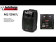 Diffusore a batteria 12" Audiodesign M2 12W/L  - 2 microfoni wireless - Pot. Max. 450 W