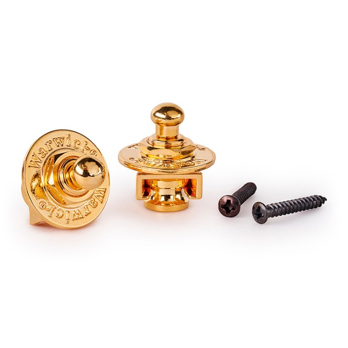 Warwick -Security Lock System Gold