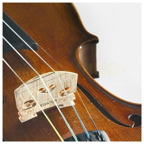 VIOLINO STENTOR STUDENT 2 4/4