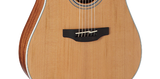 CHITARRA ACUSTICA - elettificata Takamine GD20CE