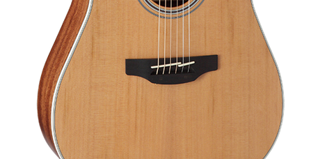 CHITARRA ACUSTICA - elettificata Takamine GD20CE