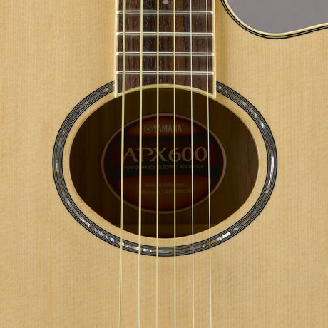 Yamaha APX600