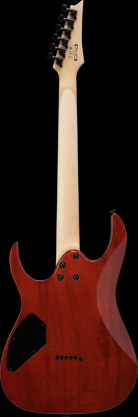 Ibanez GRGR221PA Aqua Burst