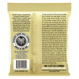 MUTA Ernie Ball - per chitarra ACUSTICA 11 52 2004 Earthwood Bronze