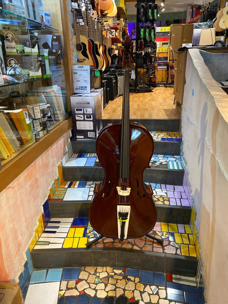 Violoncello 4/4 - DAM MC760L44