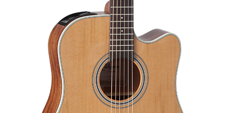 CHITARRA ACUSTICA - elettificata Takamine GD20CE