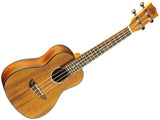 UKULELE CONCERTO EKO DUO UKB2
