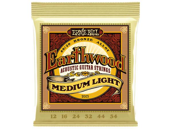MUTA Ernie Ball - per chitarra ACUSTICA 12-54 2003 Earthwood Bronze
