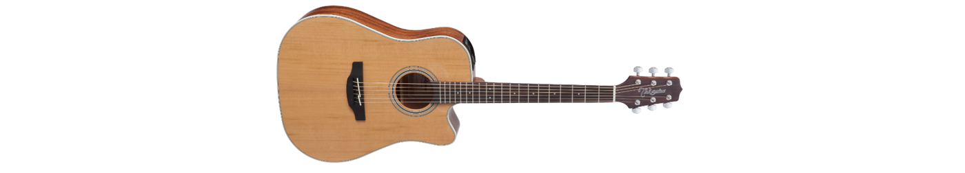 CHITARRA ACUSTICA - elettificata Takamine GD20CE