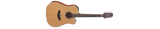 CHITARRA ACUSTICA - elettificata Takamine GD20CE