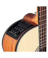 Chitarra Acustica - TAKAMINE GD15CE-NAT